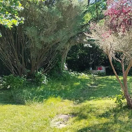 Casa Pineiros Сasa de vacaciones Asados