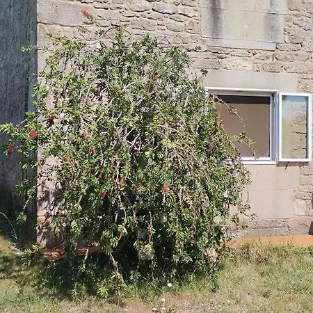 Casa Pineiros * Asados
